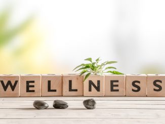 Wellness sign with wooden cubes