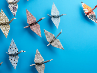 Leadership - origami birds